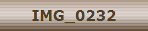 IMG_0232